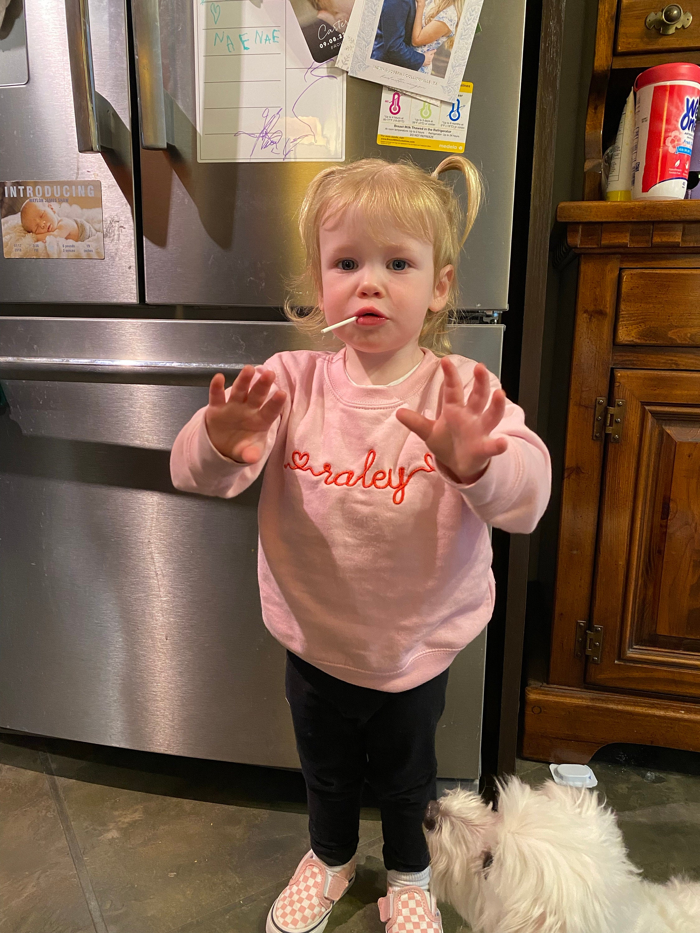 Embroidered Valentine&#39;s Sweatshirt / Monogram Valentines Shirt / Valentine&#39;s Day Shirt / Kids Valentines Shirt / Custom Valentines Shirt