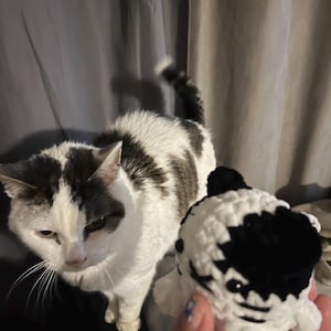 Alison added a photo of their purchase