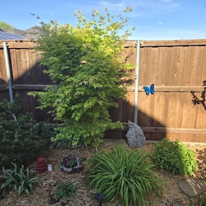Matt added a photo of their purchase
