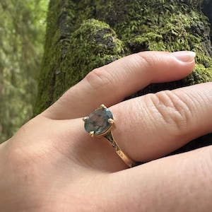 Stephen added a photo of their purchase