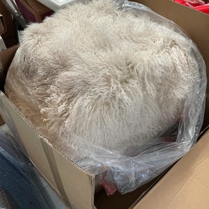 Miss added a photo of their purchase