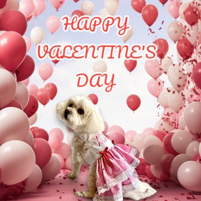 Valentine Love Doghouse Digital Backdrop Bundle. AI Generated. Hearts ...