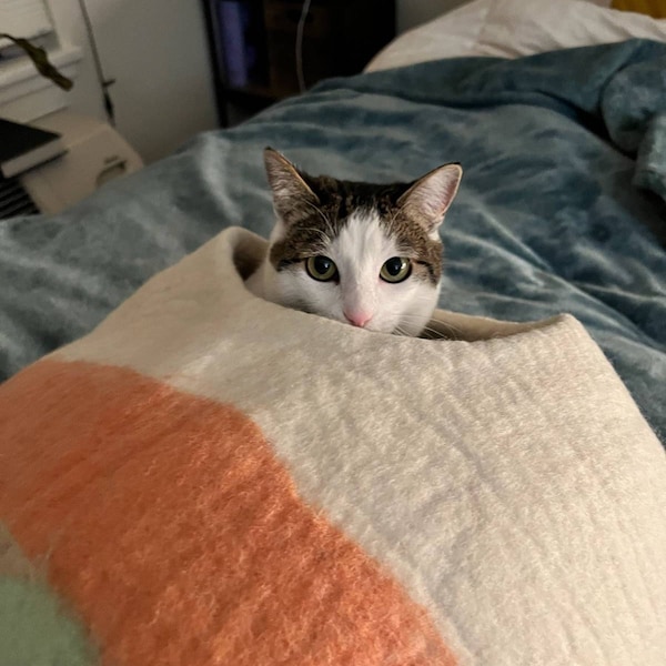 NEPALI WOOL FELT CAT CAVE – TARO BOBO main image 1