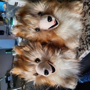 Pomeranian slippers online