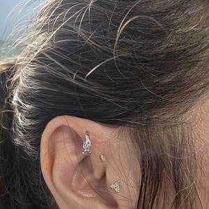 Paulette added a photo of their purchase