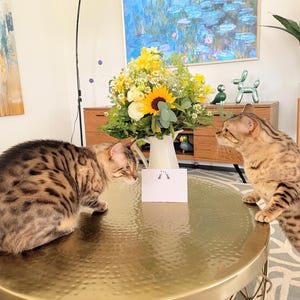 Bonnie a ajouté une photo de son achat