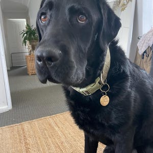 Holly added a photo of their purchase