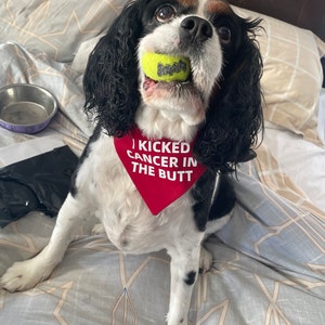 John added a photo of their purchase