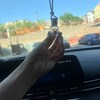 Skull Car Diffusers - Apothecary 51