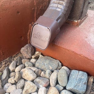 Sarah added a photo of their purchase