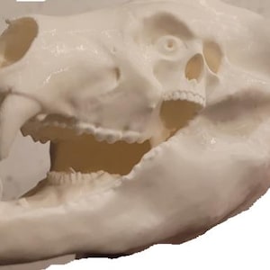 KenC added a photo of their purchase