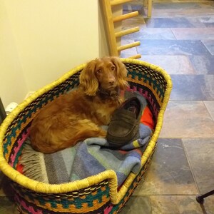 Sue added a photo of their purchase