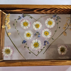 Amelia added a photo of their purchase