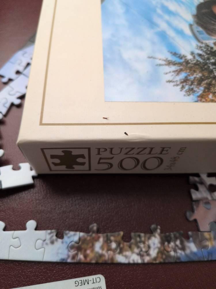 Customer photo for Custom Jigsaw Puzzle Gift