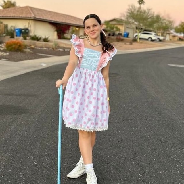 Bo Peep Costume, Bo Dress, Bo Peep Dress, Toy Story Costume, Toy Story  Birthday Dress - Etsy