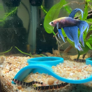 Etsy-koper heeft een foto van de aankoop toegevoegd