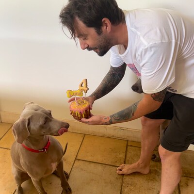 Dog Birthday Celebration Cake - Etsy UK