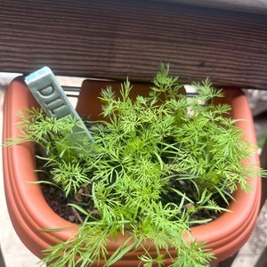 Catherine added a photo of their purchase
