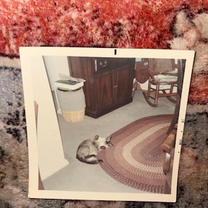 Pearl added a photo of their purchase