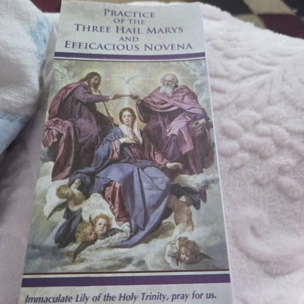Practice of the Three Hail Marys and Efficacious Novena Pamphlet - Etsy