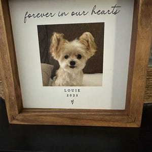 Dina ha añadido una foto de su compra