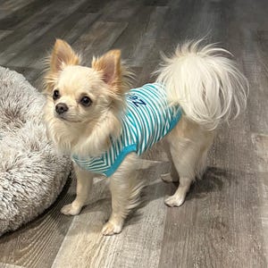 Kim added a photo of their purchase