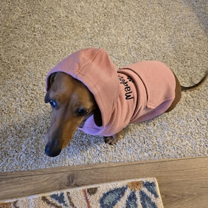 Judy added a photo of their purchase