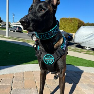 Tiffany adicionaram uma foto da sua compra