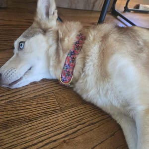 Mara added a photo of their purchase