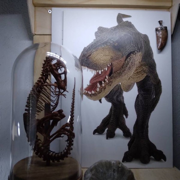 Reproduction of Sleeping Velociraptor 40 Cm in Diameter!! - Etsy UK