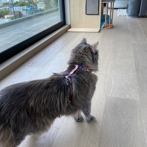 Amara a ajouté une photo de son achat