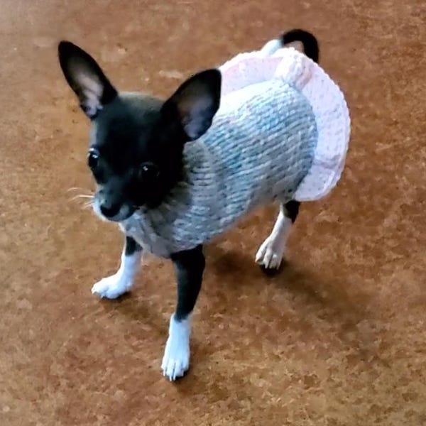 Teacup Harness | Funky Fish main image 1