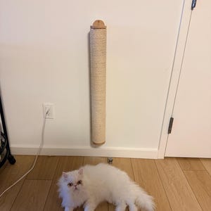 Rene added a photo of their purchase