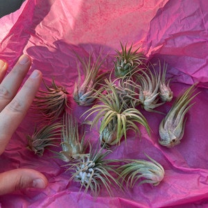 Andrea added a photo of their purchase