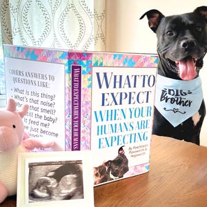 Rachel added a photo of their purchase