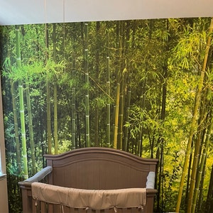 Green bamboo forest Wall Mural Wallpaper