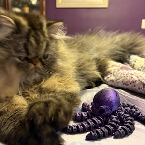 Tammy added a photo of their purchase