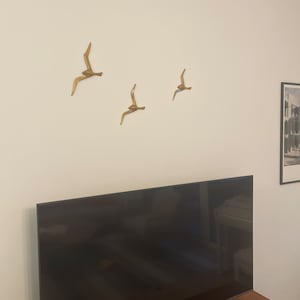 Igor added a photo of their purchase
