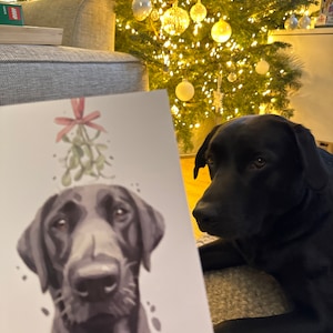 Matthew a ajouté une photo de son achat