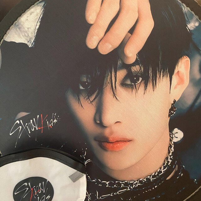 Stray Kids Bias Foldable Hand Fan | Stay | Skz Gift | Kpop