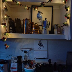 Cassandra ha aggiunto una foto del proprio acquisto