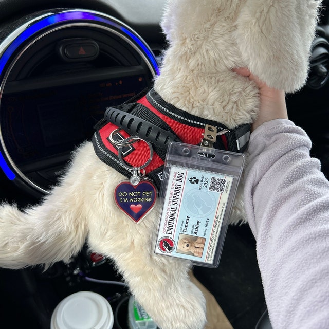Emotional Support Harness With Handle Stuffed Animal Plush