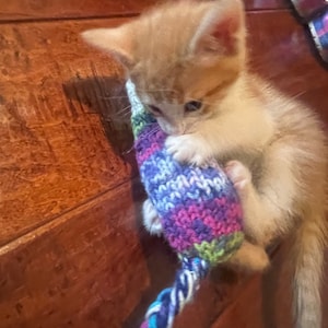 Leila added a photo of their purchase