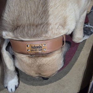 Robin added a photo of their purchase