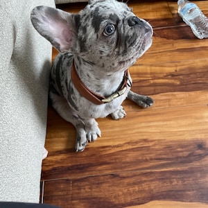 Ivy ha añadido una foto de su compra