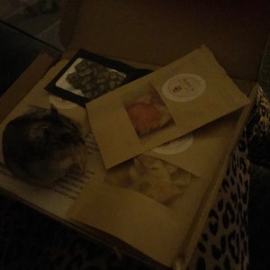 Laura added a photo of their purchase