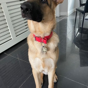 Karl added a photo of their purchase