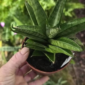 Michelle added a photo of their purchase