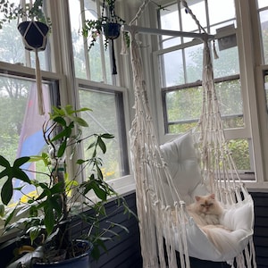 Hanna added a photo of their purchase