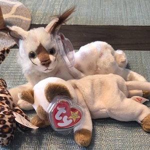 Ty Beanie Babies Cats Zip Flip Nip Chip Snip Pounce Prance
